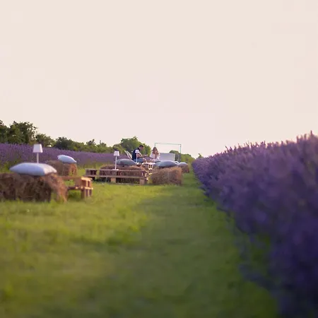 Hétvégi ház Il Molinello