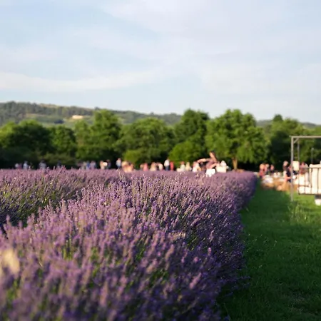 Il Molinello Casa rural Asciano