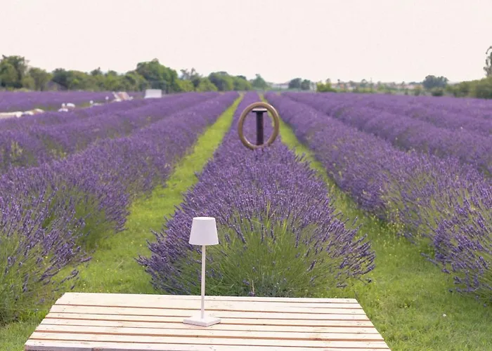 Il Molinello Landsted