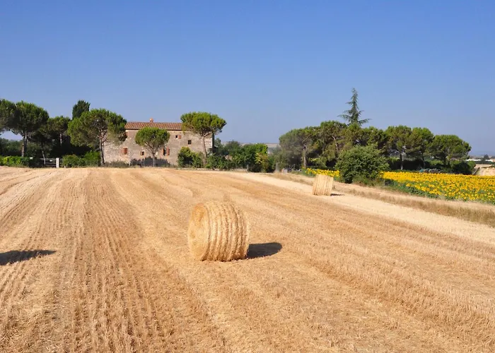 Il Molinello Kır Evi *