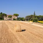 Il Molinello Kır Evi *